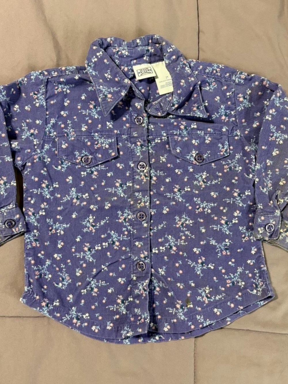 Vintage Arizona Toddler Button-Up Size 2T